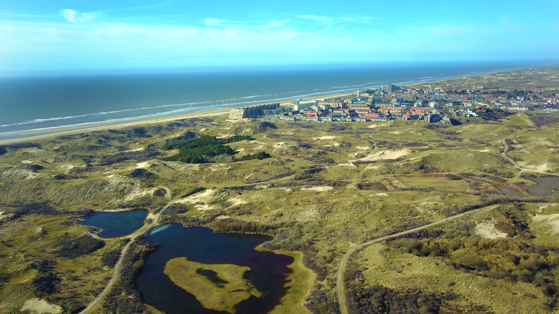 Dronefoto duinen en dorp.jpg